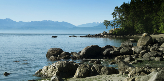 West Coast image
